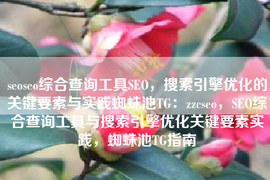 seoseo综合查询工具SEO,搜索引擎优化的关键要素与实践蜘蛛池TG:zzcseo,SEO综合查询工具与搜索引擎优化关键要素实践,蜘蛛池TG指南 seoseo综合查询工具SEO,搜索引擎优化的关键要素与实践蜘蛛池TG:zzcseo,SEO综合查询工具与搜索引擎优化关键要素实践,蜘蛛池TG指南