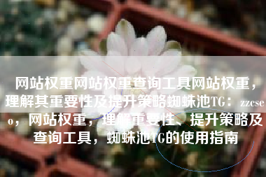 网站权重网站权重查询工具网站权重，理解其重要性及提升策略蜘蛛池TG：zzcseo，网站权重，理解重要性、提升策略及查询工具，蜘蛛池TG的使用指南
