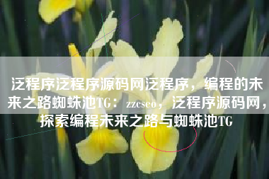 泛程序泛程序源码网泛程序，编程的未来之路蜘蛛池TG：zzcseo，泛程序源码网，探索编程未来之路与蜘蛛池TG