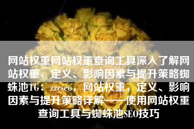 网站权重网站权重查询工具深入了解网站权重，定义、影响因素与提升策略蜘蛛池TG：zzcseo，网站权重，定义、影响因素与提升策略详解——使用网站权重查询工具与蜘蛛池SEO技巧