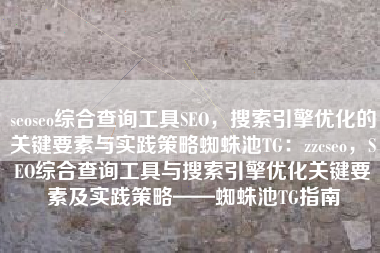 seoseo综合查询工具SEO，搜索引擎优化的关键要素与实践策略蜘蛛池TG：zzcseo，SEO综合查询工具与搜索引擎优化关键要素及实践策略——蜘蛛池TG指南