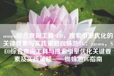 seoseo综合查询工具SEO，搜索引擎优化的关键要素与实践策略蜘蛛池TG：zzcseo，SEO综合查询工具与搜索引擎优化关键要素及实践策略——蜘蛛池TG指南