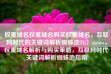 权重域名权重域名购买权重域名，互联网时代的关键词解析蜘蛛池TG：zzcseo，权重域名解析与购买策略，互联网时代关键词解析蜘蛛池指南
