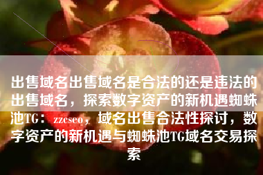 出售域名出售域名是合法的还是违法的出售域名,探索数字资产的新机遇蜘蛛池TG:zzcseo,域名出售合法性探讨,数字资产的新机遇与蜘蛛池TG域名交易探索 出售域名出售域名是合法的还是违法的出售域名,探索数字资产的新机遇蜘蛛池TG:zzcseo,域名出售合法性探讨,数字资产的新机遇与蜘蛛池TG域名交易探索