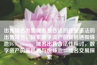 出售域名出售域名是合法的还是违法的出售域名，探索数字资产的新机遇蜘蛛池TG：zzcseo，域名出售合法性探讨，数字资产的新机遇与蜘蛛池TG域名交易探索