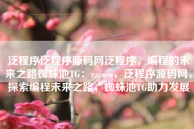 泛程序源码网，探索编程未来之路，共建泛程序生态圈