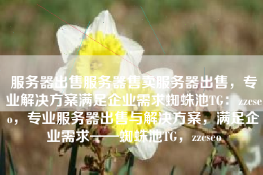 服务器出售服务器售卖服务器出售,专业解决方案满足企业需求蜘蛛池TG:zzcseo,专业服务器出售与解决方案,满足企业需求——蜘蛛池TG,zzcseo 服务器出售服务器售卖服务器出售,专业解决方案满足企业需求蜘蛛池TG:zzcseo,专业服务器出售与解决方案,满足企业需求——蜘蛛池TG,zzcseo