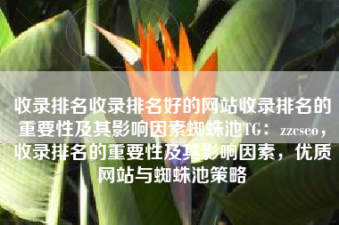 收录排名收录排名好的网站收录排名的重要性及其影响因素蜘蛛池TG：zzcseo，收录排名的重要性及其影响因素，优质网站与蜘蛛池策略