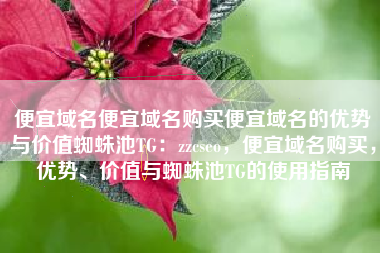 便宜域名便宜域名购买便宜域名的优势与价值蜘蛛池TG:zzcseo,便宜域名购买,优势、价值与蜘蛛池TG的使用指南 便宜域名便宜域名购买便宜域名的优势与价值蜘蛛池TG:zzcseo,便宜域名购买,优势、价值与蜘蛛池TG的使用指南