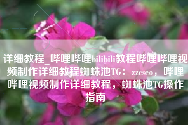 详细教程_哔哩哔哩bilibili教程哔哩哔哩视频制作详细教程蜘蛛池TG：zzcseo，哔哩哔哩视频制作详细教程，蜘蛛池TG操作指南