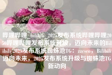 哔哩哔哩_bilibili_2025发布系统哔哩哔哩2050哔哩哔哩发布系统升级，迈向未来的Bilibili 2025发布系统蜘蛛池TG：zzcseo，Bilibili迈向未来，2025发布系统升级与蜘蛛池TG新动向