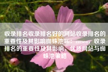 收录排名收录排名好的网站收录排名的重要性及其影响蜘蛛池TG：zzcseo，收录排名的重要性及其影响，优质网站与蜘蛛池策略