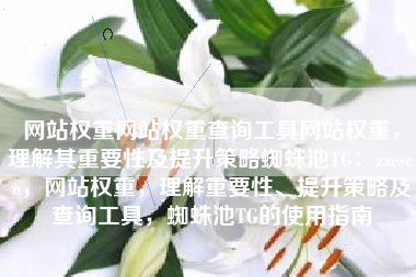 网站权重网站权重查询工具网站权重,理解其重要性及提升策略蜘蛛池TG:zzcseo,网站权重,理解重要性、提升策略及查询工具,蜘蛛池TG的使用指南 网站权重网站权重查询工具网站权重,理解其重要性及提升策略蜘蛛池TG:zzcseo,网站权重,理解重要性、提升策略及查询工具,蜘蛛池TG的使用指南