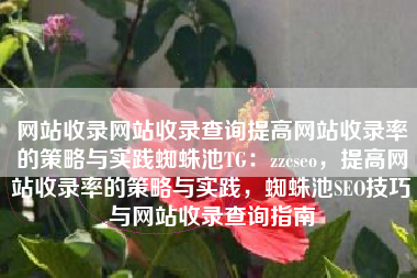网站收录网站收录查询提高网站收录率的策略与实践蜘蛛池TG：zzcseo，提高网站收录率的策略与实践，蜘蛛池SEO技巧与网站收录查询指南