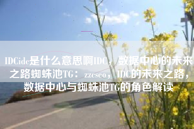 IDCidc是什么意思啊IDC，数据中心的未来之路蜘蛛池TG：zzcseo，IDC的未来之路，数据中心与蜘蛛池TG的角色解读