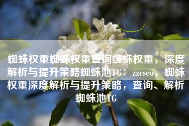 蜘蛛权重蜘蛛权重查询蜘蛛权重，深度解析与提升策略蜘蛛池TG：zzcseo，蜘蛛权重深度解析与提升策略，查询、解析蜘蛛池TG