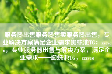 服务器出售服务器售卖服务器出售,专业解决方案满足企业需求蜘蛛池TG:zzcseo,专业服务器出售与解决方案,满足企业需求——蜘蛛池TG,zzcseo 服务器出售服务器售卖服务器出售,专业解决方案满足企业需求蜘蛛池TG:zzcseo,专业服务器出售与解决方案,满足企业需求——蜘蛛池TG,zzcseo