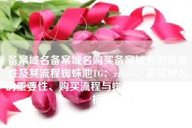 备案域名备案域名购买备案域名的重要性及其流程蜘蛛池TG:zzcseo,备案域名的重要性、购买流程与蜘蛛池SEO策略解析 备案域名备案域名购买备案域名的重要性及其流程蜘蛛池TG:zzcseo,备案域名的重要性、购买流程与蜘蛛池SEO策略解析