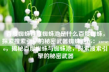 百度蜘蛛百度蜘蛛池是什么百度蜘蛛,探索搜索引擎的秘密武器蜘蛛池TG:zzcseo,揭秘百度蜘蛛与蜘蛛池,探索搜索引擎的秘密武器 百度蜘蛛百度蜘蛛池是什么百度蜘蛛,探索搜索引擎的秘密武器蜘蛛池TG:zzcseo,揭秘百度蜘蛛与蜘蛛池,探索搜索引擎的秘密武器