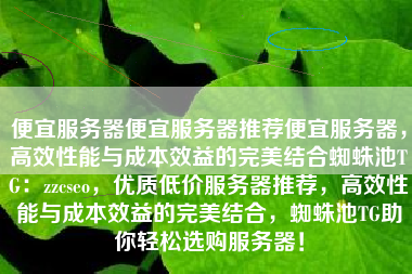 便宜服务器便宜服务器推荐便宜服务器,高效性能与成本效益的完美结合蜘蛛池TG:zzcseo,优质低价服务器推荐,高效性能与成本效益的完美结合,蜘蛛池TG助你轻松选购服务器! 便宜服务器便宜服务器推荐便宜服务器,高效性能与成本效益的完美结合蜘蛛池TG:zzcseo,优质低价服务器推荐,高效性能与成本效益的完美结合,蜘蛛池TG助你轻松选购服务器!