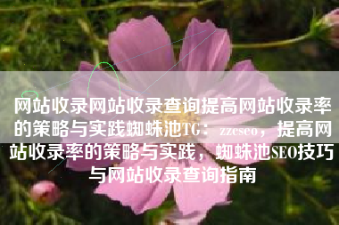网站收录网站收录查询提高网站收录率的策略与实践蜘蛛池TG：zzcseo，提高网站收录率的策略与实践，蜘蛛池SEO技巧与网站收录查询指南