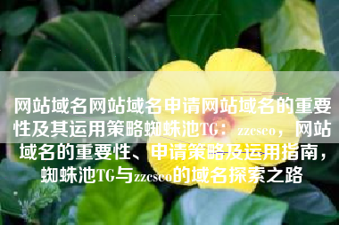 网站域名网站域名申请网站域名的重要性及其运用策略蜘蛛池TG:zzcseo,网站域名的重要性、申请策略及运用指南,蜘蛛池TG与zzcseo的域名探索之路 网站域名网站域名申请网站域名的重要性及其运用策略蜘蛛池TG:zzcseo,网站域名的重要性、申请策略及运用指南,蜘蛛池TG与zzcseo的域名探索之路