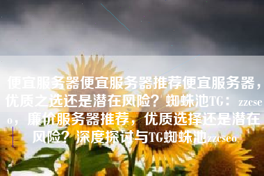 便宜服务器便宜服务器推荐便宜服务器，优质之选还是潜在风险？蜘蛛池TG：zzcseo，廉价服务器推荐，优质选择还是潜在风险？深度探讨与TG蜘蛛池zzcseo