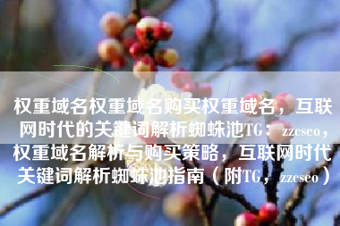 权重域名权重域名购买权重域名，互联网时代的关键词解析蜘蛛池TG：zzcseo，权重域名解析与购买策略，互联网时代关键词解析蜘蛛池指南（附TG，zzcseo）
