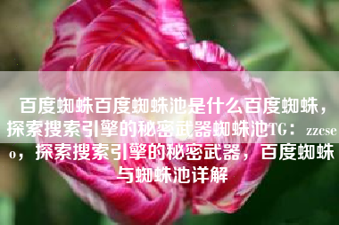 百度蜘蛛百度蜘蛛池是什么百度蜘蛛，探索搜索引擎的秘密武器蜘蛛池TG：zzcseo，探索搜索引擎的秘密武器，百度蜘蛛与蜘蛛池详解