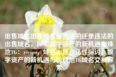 出售域名出售域名是合法的还是违法的出售域名，探索数字资产的新机遇蜘蛛池TG：zzcseo，域名出售合法性探讨，数字资产的新机遇与蜘蛛池TG域名交易探索