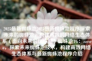 2025最新蜘蛛池2025最新蜘蛛池程序探索未来的蜘蛛池，构建高效的网络生态体系（面向未来的蜘蛛池）蜘蛛池TG：zzcseo，探索未来蜘蛛池技术，构建高效网络生态体系与最新蜘蛛池程序介绍