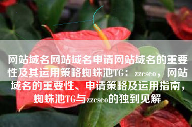 网站域名网站域名申请网站域名的重要性及其运用策略蜘蛛池TG:zzcseo,网站域名的重要性、申请策略及运用指南,蜘蛛池TG与zzcseo的独到见解 网站域名网站域名申请网站域名的重要性及其运用策略蜘蛛池TG:zzcseo,网站域名的重要性、申请策略及运用指南,蜘蛛池TG与zzcseo的独到见解