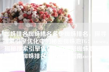蜘蛛排名蜘蛛排名多少蜘蛛排名，探寻搜索引擎优化中的秘密蜘蛛池TG：zzcseo，揭秘搜索引擎优化中的秘密蜘蛛池，探寻蜘蛛排名与TG实战指南zzcseo