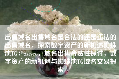 出售域名出售域名是合法的还是违法的出售域名，探索数字资产的新机遇蜘蛛池TG：zzcseo，域名出售合法性探讨，数字资产的新机遇与蜘蛛池TG域名交易探索