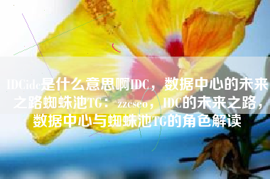 IDCidc是什么意思啊IDC，数据中心的未来之路蜘蛛池TG：zzcseo，IDC的未来之路，数据中心与蜘蛛池TG的角色解读
