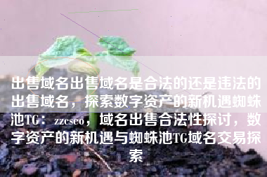 出售域名出售域名是合法的还是违法的出售域名，探索数字资产的新机遇蜘蛛池TG：zzcseo，域名出售合法性探讨，数字资产的新机遇与蜘蛛池TG域名交易探索