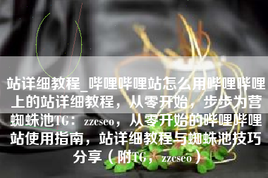站详细教程_哔哩哔哩站怎么用哔哩哔哩上的站详细教程，从零开始，步步为营蜘蛛池TG：zzcseo，从零开始的哔哩哔哩站使用指南，站详细教程与蜘蛛池技巧分享（附TG，zzcseo）