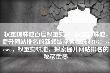 权重蜘蛛池百度权重蜘蛛ip权重蜘蛛池，提升网站排名的新领域探索蜘蛛池TG：zzcseo，权重蜘蛛池，探索提升网站排名的秘密武器