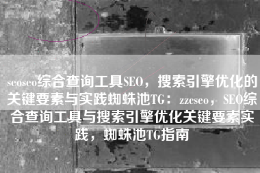 seoseo综合查询工具SEO，搜索引擎优化的关键要素与实践蜘蛛池TG：zzcseo，SEO综合查询工具与搜索引擎优化关键要素实践，蜘蛛池TG指南