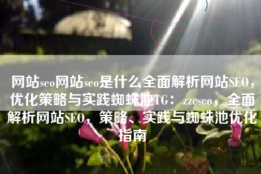 网站seo网站seo是什么全面解析网站SEO，优化策略与实践蜘蛛池TG：zzcseo，全面解析网站SEO，策略、实践与蜘蛛池优化指南