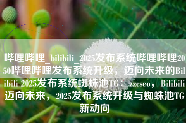 哔哩哔哩_bilibili_2025发布系统哔哩哔哩2050哔哩哔哩发布系统升级，迈向未来的Bilibili 2025发布系统蜘蛛池TG：zzcseo，Bilibili迈向未来，2025发布系统升级与蜘蛛池TG新动向