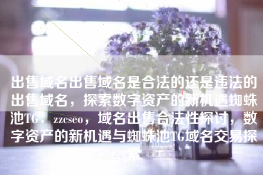 出售域名出售域名是合法的还是违法的出售域名，探索数字资产的新机遇蜘蛛池TG：zzcseo，域名出售合法性探讨，数字资产的新机遇与蜘蛛池TG域名交易探索