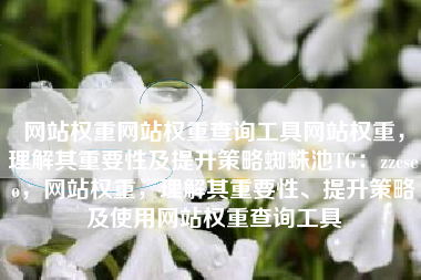 网站权重网站权重查询工具网站权重，理解其重要性及提升策略蜘蛛池TG：zzcseo，网站权重，理解其重要性、提升策略及使用网站权重查询工具