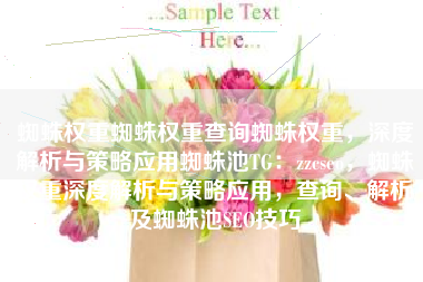 蜘蛛权重蜘蛛权重查询蜘蛛权重，深度解析与策略应用蜘蛛池TG：zzcseo，蜘蛛权重深度解析与策略应用，查询、解析及蜘蛛池SEO技巧