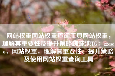 网站权重网站权重查询工具网站权重，理解其重要性及提升策略蜘蛛池TG：zzcseo，网站权重，理解其重要性、提升策略及使用网站权重查询工具