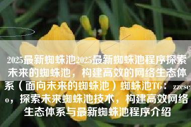 2025最新蜘蛛池2025最新蜘蛛池程序探索未来的蜘蛛池，构建高效的网络生态体系（面向未来的蜘蛛池）蜘蛛池TG：zzcseo，探索未来蜘蛛池技术，构建高效网络生态体系与最新蜘蛛池程序介绍