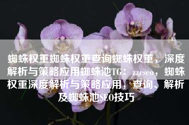 蜘蛛权重蜘蛛权重查询蜘蛛权重,深度解析与策略应用蜘蛛池TG:zzcseo,蜘蛛权重深度解析与策略应用,查询、解析及蜘蛛池SEO技巧 蜘蛛权重蜘蛛权重查询蜘蛛权重,深度解析与策略应用蜘蛛池TG:zzcseo,蜘蛛权重深度解析与策略应用,查询、解析及蜘蛛池SEO技巧