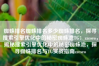 蜘蛛排名蜘蛛排名多少蜘蛛排名,探寻搜索引擎优化中的秘密蜘蛛池TG:zzcseo,揭秘搜索引擎优化中的秘密蜘蛛池,探寻蜘蛛排名与TG实战指南zzcseo 蜘蛛排名蜘蛛排名多少蜘蛛排名,探寻搜索引擎优化中的秘密蜘蛛池TG:zzcseo,揭秘搜索引擎优化中的秘密蜘蛛池,探寻蜘蛛排名与TG实战指南zzcseo