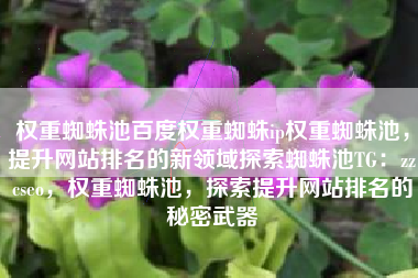权重蜘蛛池百度权重蜘蛛ip权重蜘蛛池，提升网站排名的新领域探索蜘蛛池TG：zzcseo，权重蜘蛛池，探索提升网站排名的秘密武器
