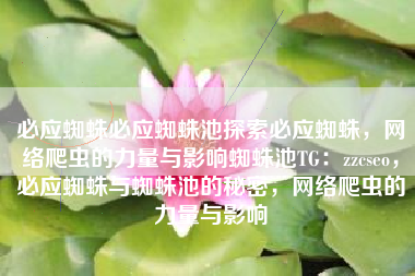 必应蜘蛛必应蜘蛛池探索必应蜘蛛，网络爬虫的力量与影响蜘蛛池TG：zzcseo，必应蜘蛛与蜘蛛池的秘密，网络爬虫的力量与影响